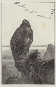 イーグルの玉座、英国制度の展示 作： Samuel Read